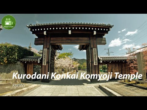 Kyoto's famous cherry blossom spot "Konkai Komyoji Temple" Natural scenery Relaxing healing. Kyoto's famous cherry blossom spot "Konkai Komyoji Temple" Natural scenery Relaxing healing.