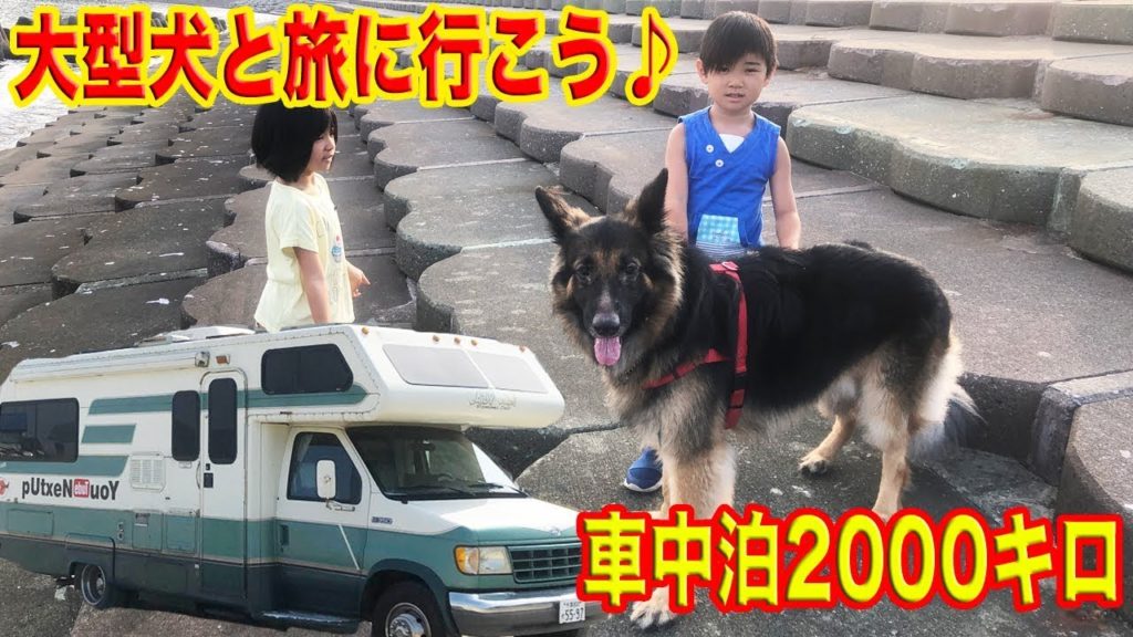大型犬と旅に行こう!東北2000㌔・シェパード犬マックの想い出Traveling with a dog 大型犬と旅に行こう!東北2000㌔・シェパード犬マックの想い出Traveling with a dog