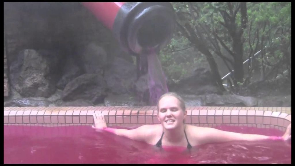 Hakone – Ryokan and Onsen Hakone - Ryokan and Onsen