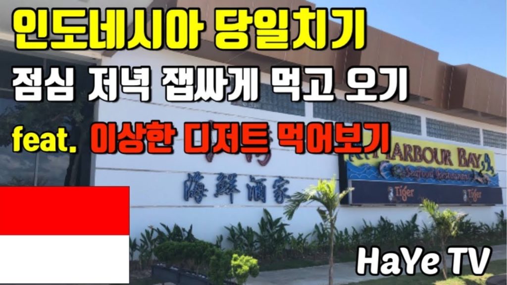 인도네시아에서 가볍게 당일치기로 먹고 오기 feat. 난생 첨 먹어본 마타박 (??) Day Trip to Batam Indonesia for MAKAN feat. Martabak 인도네시아에서 가볍게 당일치기로 먹고 오기 feat. 난생 첨 먹어본 마타박 (??) Day Trip to Batam Indonesia for MAKAN feat. Martabak