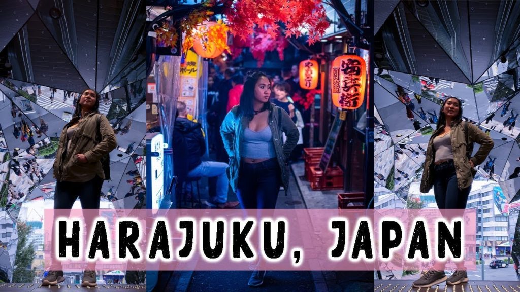 Street Food in Harajuku! ft. Dog Cafe and Omoide Yokocho