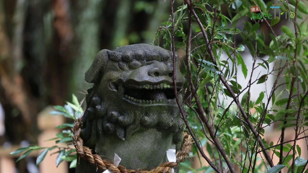 JAL 週末ふるさとTrip 熊本　地元のパワーを感じる！「幣立神社」　「浮島神社」