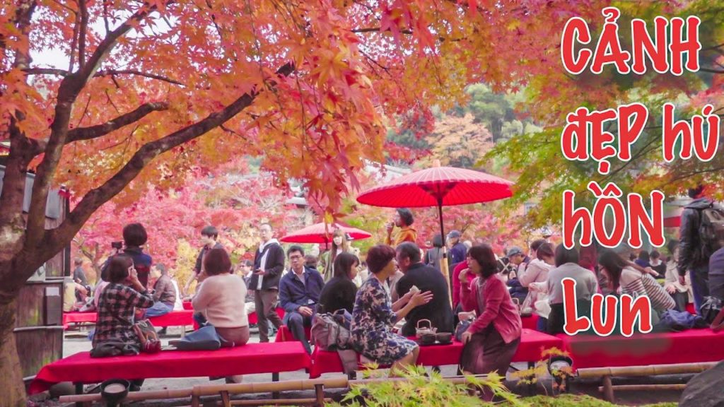 Mùa Thu Nhật Bản Cảnh Đẹp Như TRong Tranh . Lá Đỏ | Momiji ( 紅葉 ) | Eikando (永 観, Eikandō) Kyoto.
