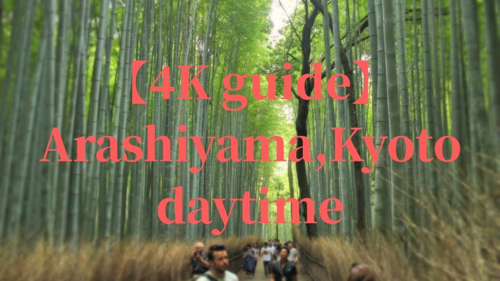 【4K guide】Arashiyama,Kyoto Bamboo pathway in daytime
