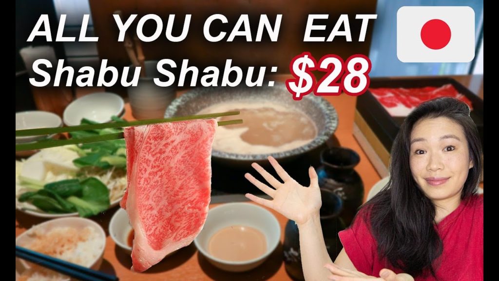 ALL YOU CAN EAT SHABU SHABU for $28! | How I Spent Half a Day in TOKYO