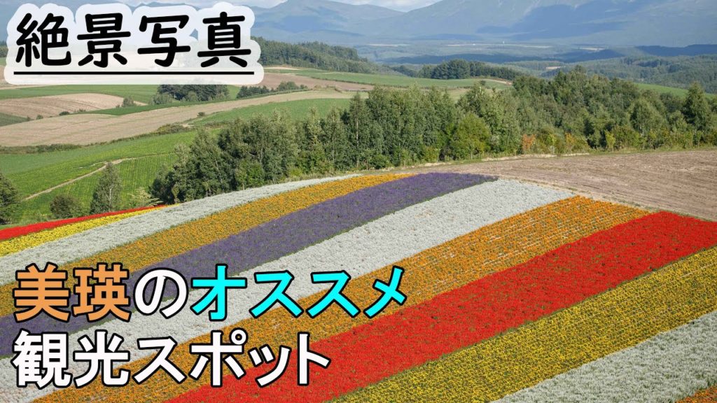 【北海道特別編2019 #7】北海道旅行,富良野,美瑛のおすすめルートと定番スポットで絶景写真を撮る、富田ファーム、四季彩の丘、深山峠、かんのファーム,vlog japan,furano, biei 【北海道特別編2019 #7】北海道旅行,富良野,美瑛のおすすめルートと定番スポットで絶景写真を撮る、富田ファーム、四季彩の丘、深山峠、かんのファーム,vlog japan,furano, biei