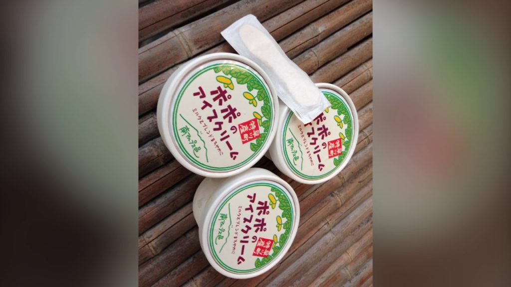 日本一人口の少ない町早川町（Hayakawa cho, the town with the smallest population in Japan）