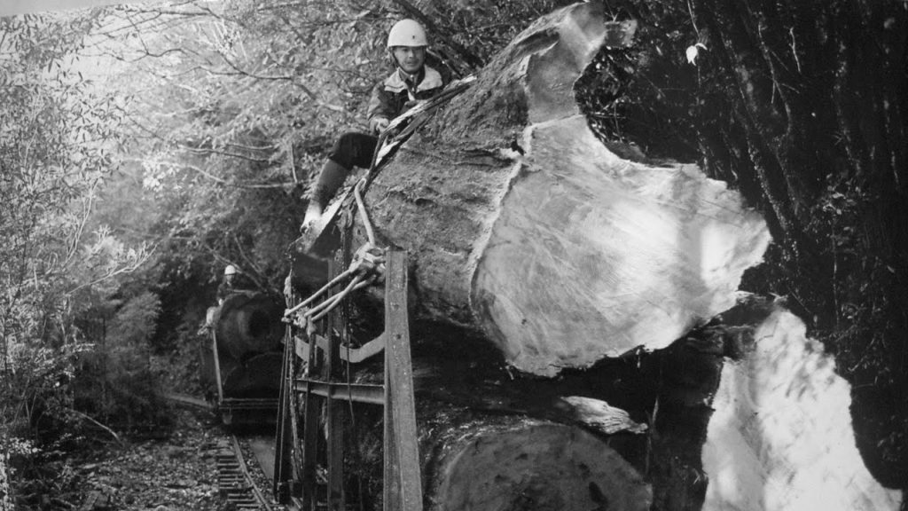 Arakawa track crew maintain Japan's last working 2'6" Cedar Railway.