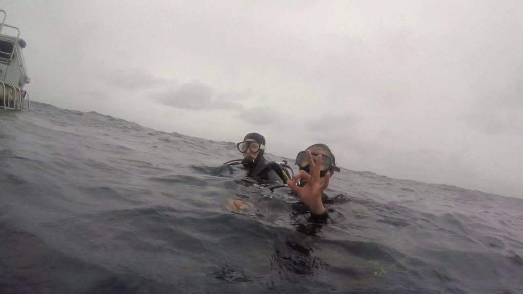 SCUBA DIVING IN JAPAN!!! - The small island of Ishigaki (near the main island of Japan) was amazing