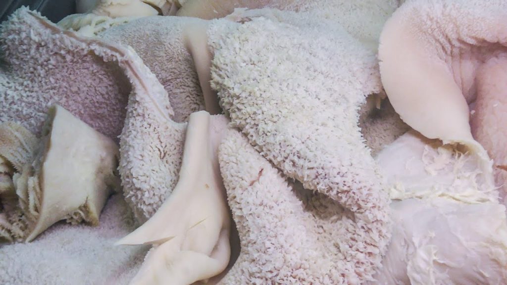 The Tripe, Cow Stomach Cooked. Italian Street Food