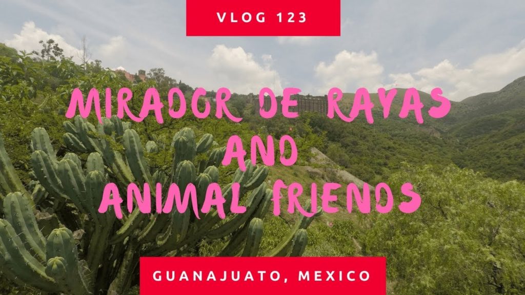 Mirador de Rayas and Animal Friends | Guanajuato, Mexico | Travel Dev Vlog 123 Mirador de Rayas and Animal Friends | Guanajuato, Mexico | Travel Dev Vlog 123