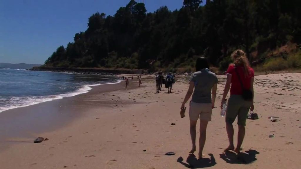 Day 14 - At The Beach With Friends