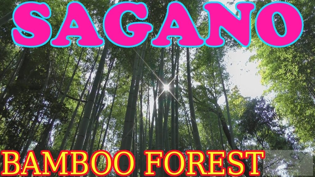 Sagano Bamboo Forest, Kyoto ☆ 嵯峨野竹林 ☆ Japan As It Truly Is Sagano Bamboo Forest, Kyoto ☆ 嵯峨野竹林 ☆ Japan As It Truly Is