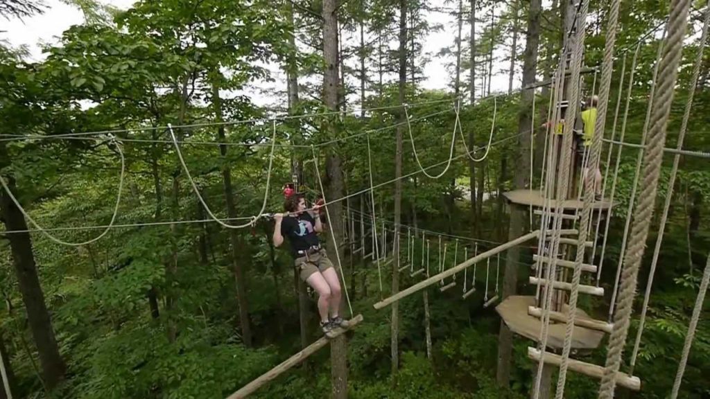 Forest Adventure Mt. Fuji 18