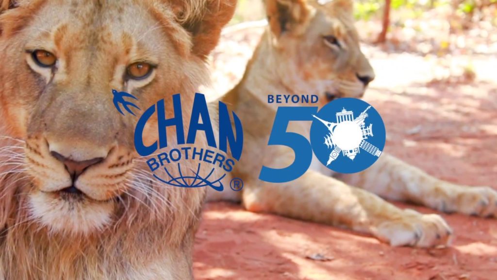 Africa Is Just Better With Chan Brothers Travel (Trailer)