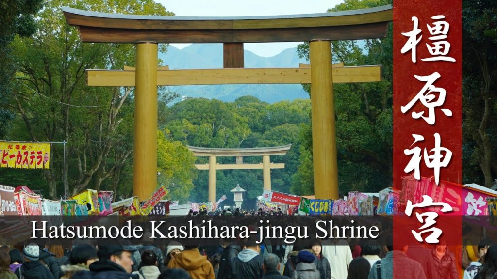 Japan Travel Guide : Nara Walk Hatsumode New Year's visit Kashihara-jingu Shrine #橿原神宮 #奈良 #初詣