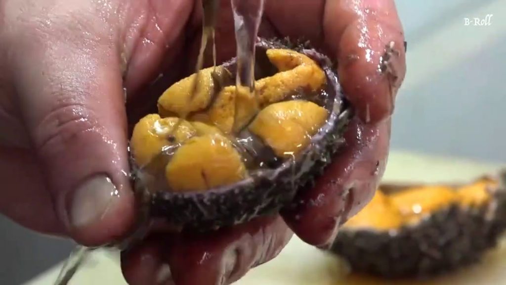 日本料理【ウニ刺身】美味しいのかい？食べましょう ~JAPAN Seafood