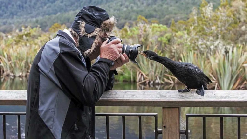 Autumn Colours of Central Otago with Peter Walton