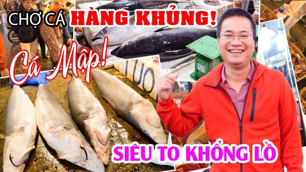 Nửa đêm đột nhập Chợ Hải Sản lớn nhất Đà Nẵng xem mổ Cá Mập Siêu To Khổng Lồ Nửa đêm đột nhập Chợ Hải Sản lớn nhất Đà Nẵng xem mổ Cá Mập Siêu To Khổng Lồ