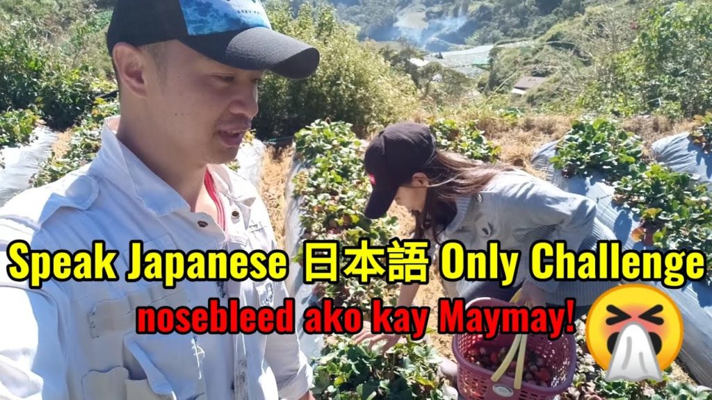 Speak only in 日本語 Japanese Challenge Fun Vlog
