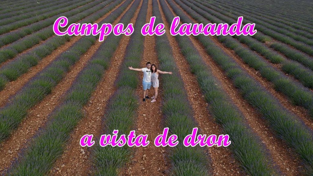 CAMPOS DE LAVANDA A VISTA DE DRONE | BRIHUEGA | SeguirViajando