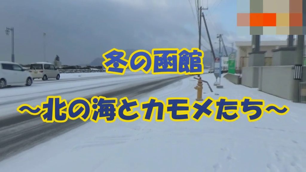 Hakodate in winter North Sea and Seagulls Hakodate in winter North Sea and Seagulls