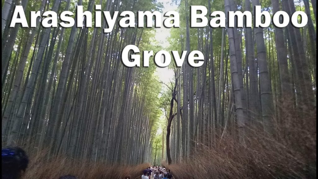Wandering around the ICONIC Arashiyama Bamboo Grove (Arashiyama, Kyoto, Japan 2019)
