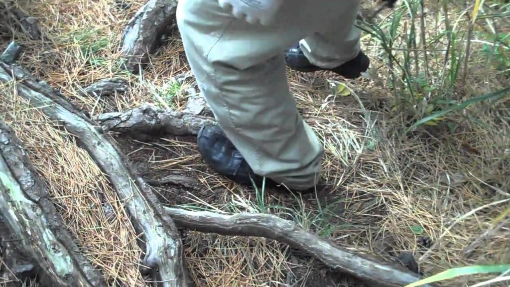 Walking Tour Of Izu Kogen, Japan