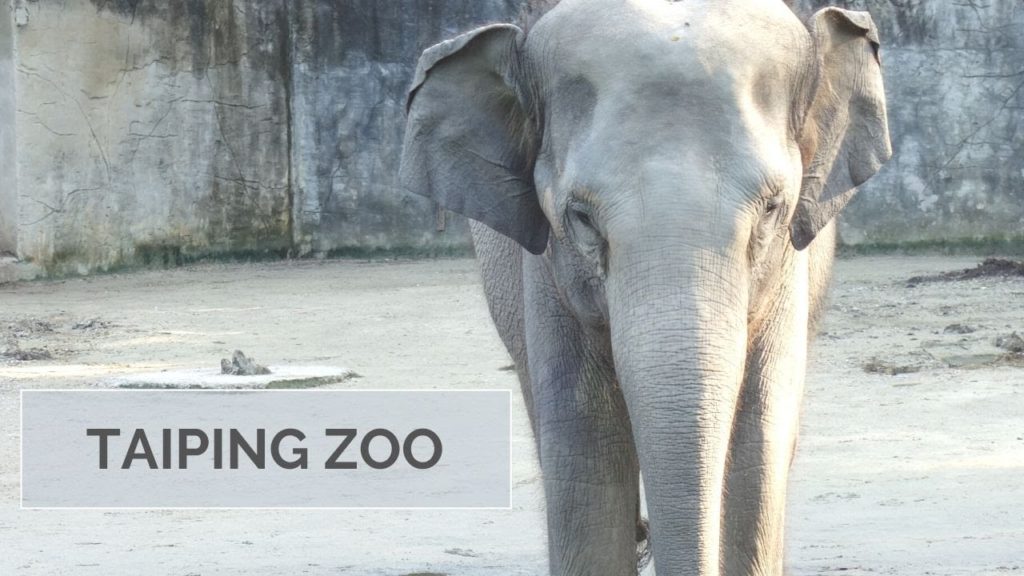 Taiping Zoo in Perak - Malaysia Travel Vlog