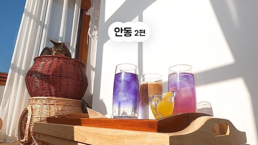 안동주민 따라다니는 뚜벅이 브이로그 | 겨울 국내 여행 | 안동 2편