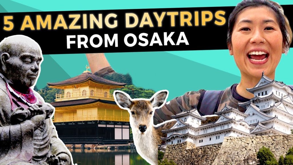 5 UNFORGETTABLE Day Trips from OSAKA | Japan Travel Guide (2020)