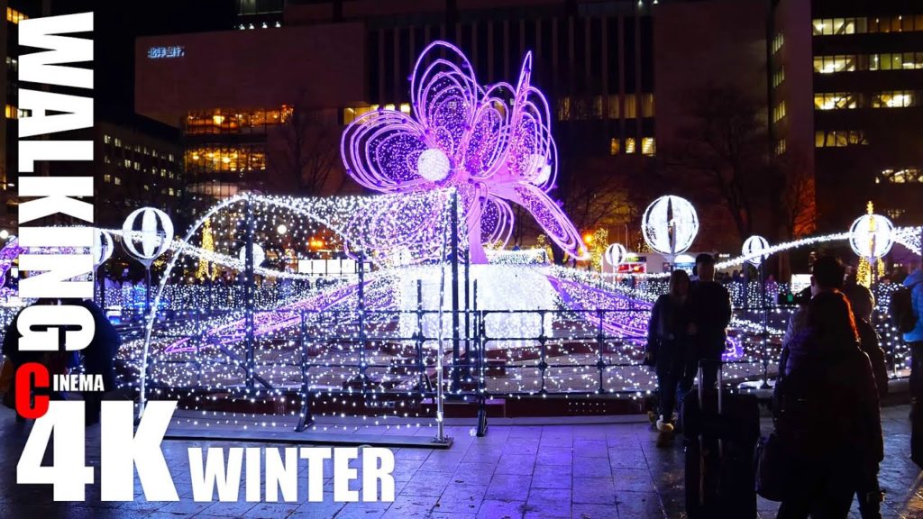 第39回 さっぽろホワイトイルミネーション 2019 の散歩 C4K