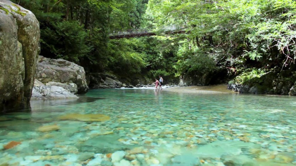 【自然の音と映像】夏の阿寺渓谷　Atera gorge