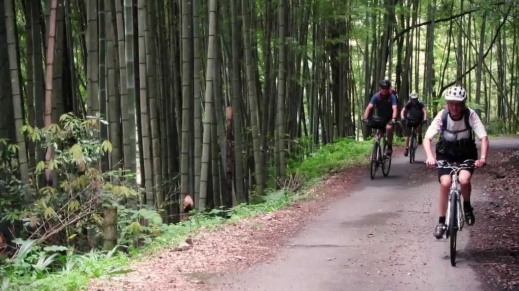 Cycling in Japan with Adventure South