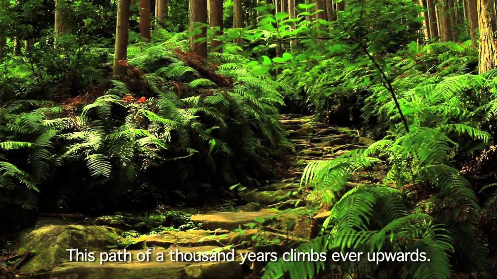[Beautiful Japan] World Heritage Kumano Kodo Pilgrimage Routes