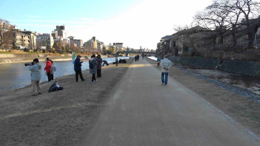 【4K】Kyoto Kamo River - 京都 鴨川を散歩