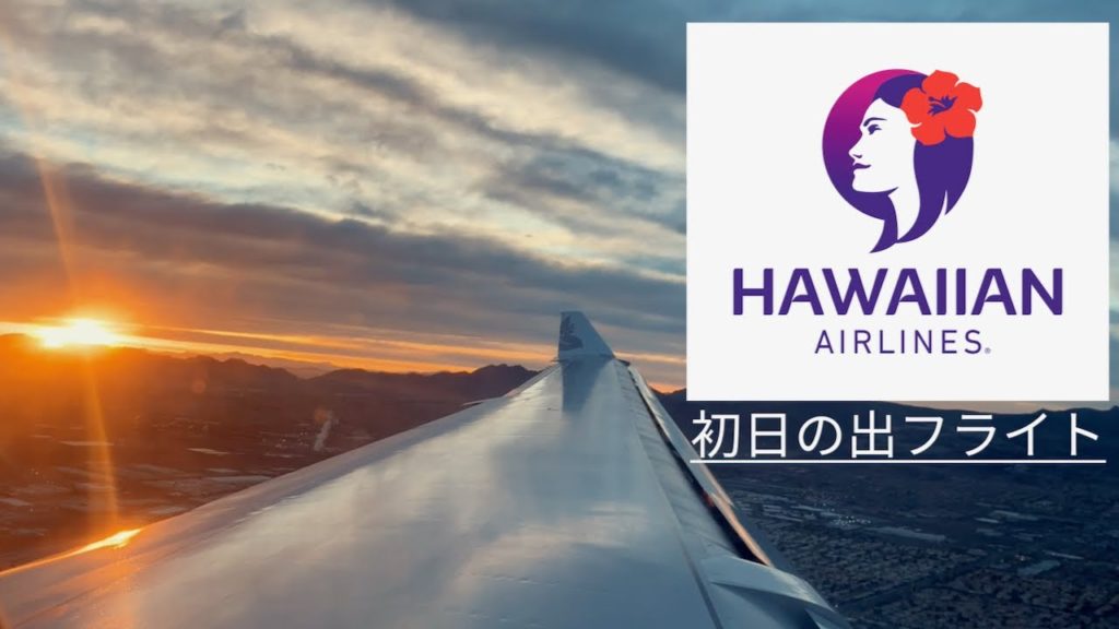 出張Vlog✈️ハワイアン航空（羽田-ハワイ-ラスベガス）飛行機搭乗レビュー