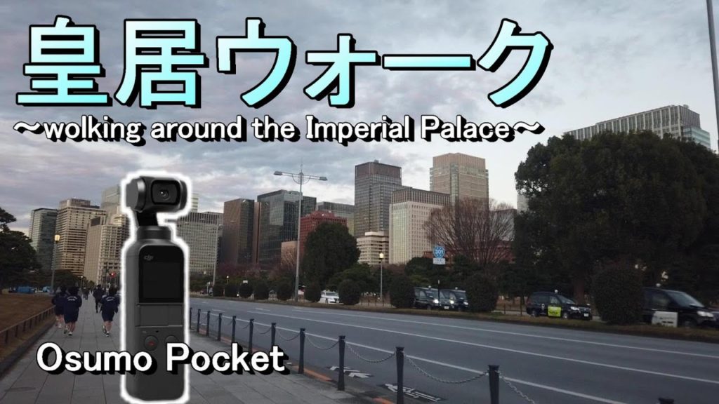 皇居ランコースを散歩【無編集】～wolking around the Imperial Palace～  #2020年 #OsmoPocket