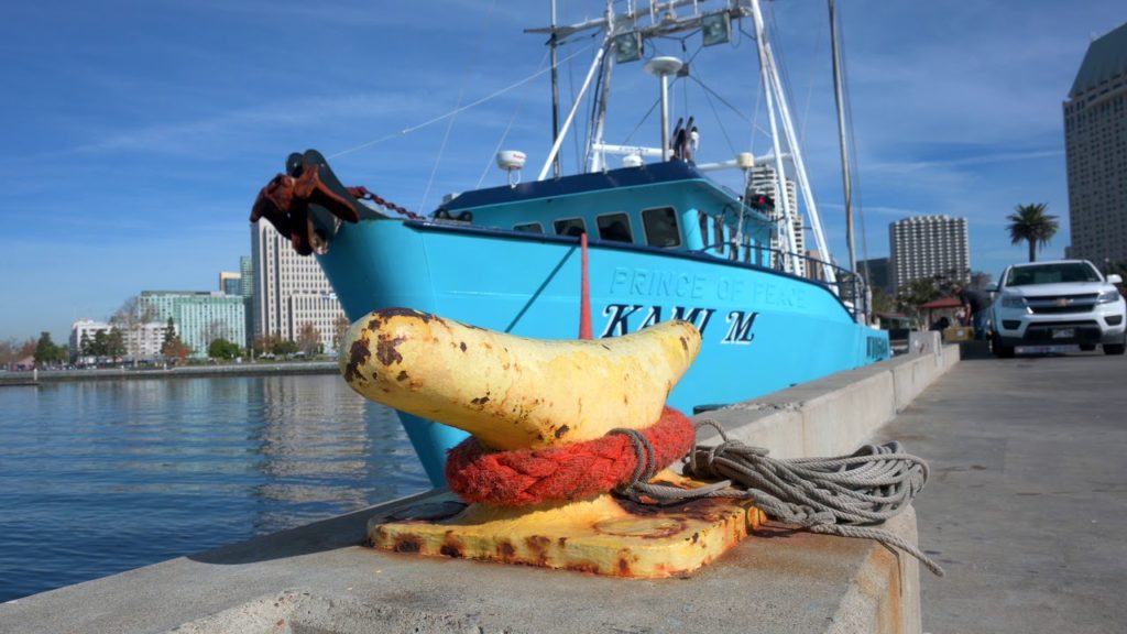 Nikon Z 50 4K Video: San Diego in January