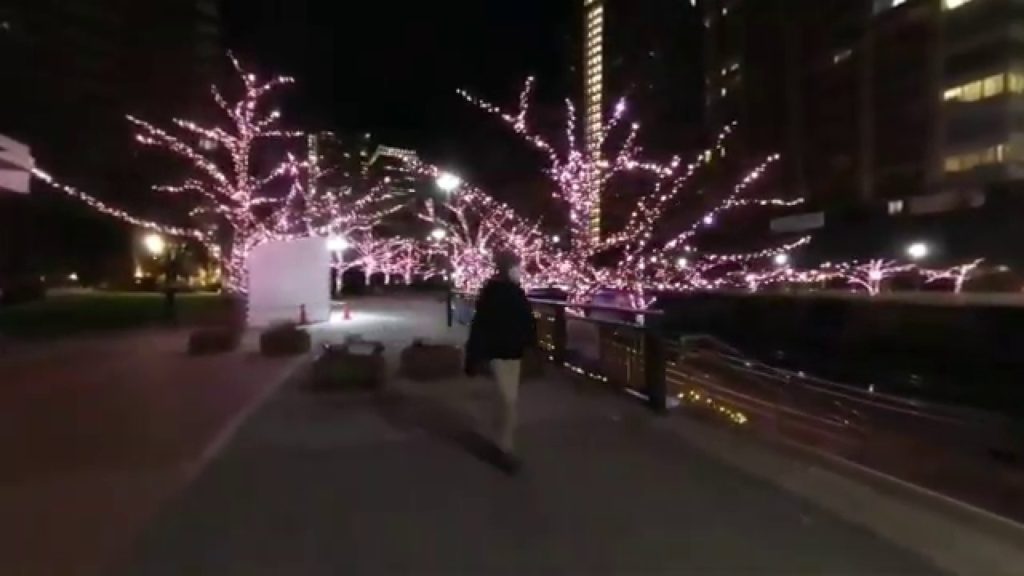 目黒川みんなのイルミネーション | VR180 3D | insta360 EVO | Night walk 目黒川みんなのイルミネーション | VR180 3D | insta360 EVO | Night walk
