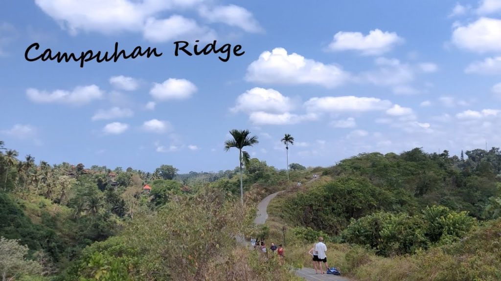 UBUD WALKS - CAMPUHAN RIDGE WALK - rice fields, art & coffee | BALI