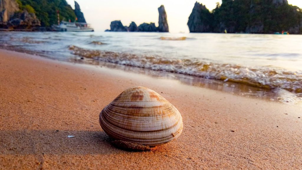 Hon Phu Tu - Mysterious islet in Southern Vietnam