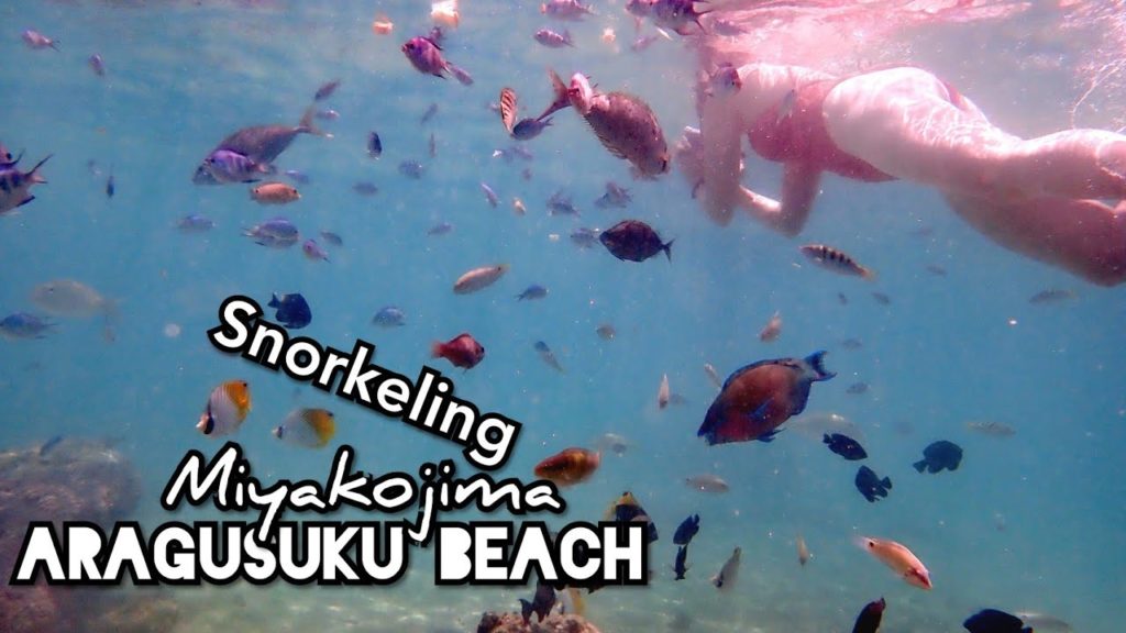 Adeyto & Miki 🐠 Snorkeling ARAGUSUKU 🏖️ BEACH Coral Reef MIYAKOJIMA 🏝️ ISLAND Okinawa 📽️ HUAWEI