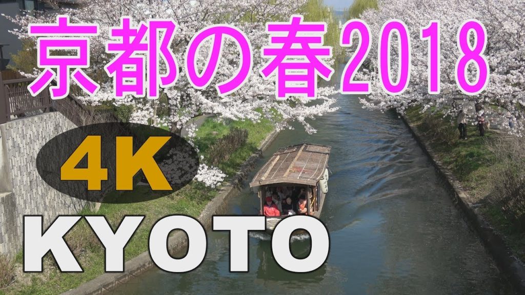 ★4K【KYOTO JAPAN】 in spring 2018☆京都の春