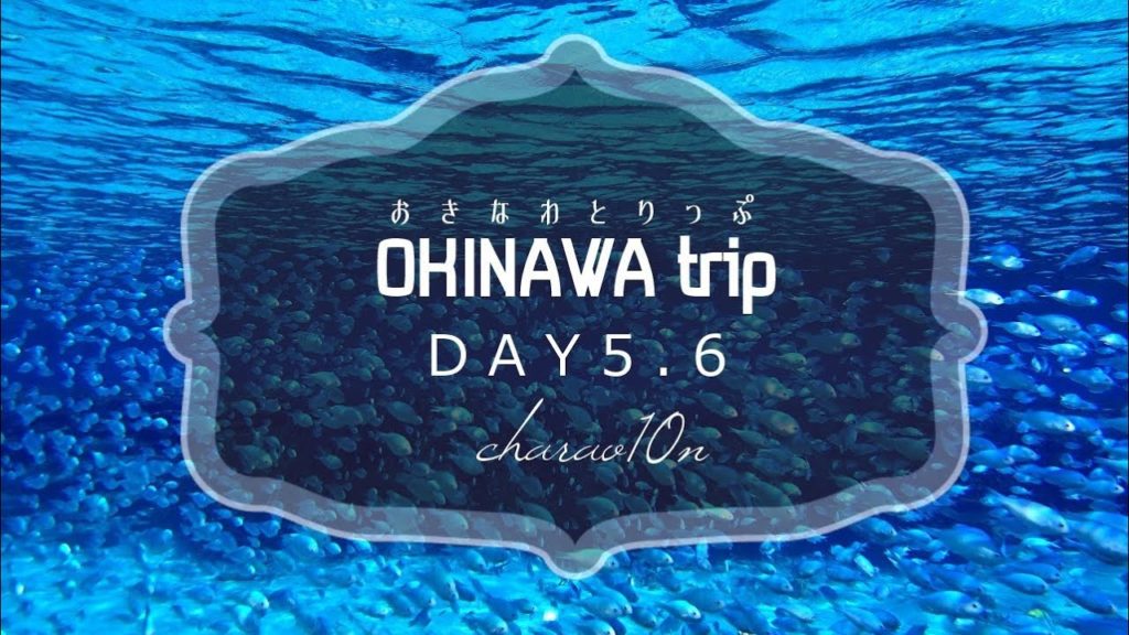 【vlog】おきなわとりっぷDAY5.6 / OKINAWA trip DAY5.6