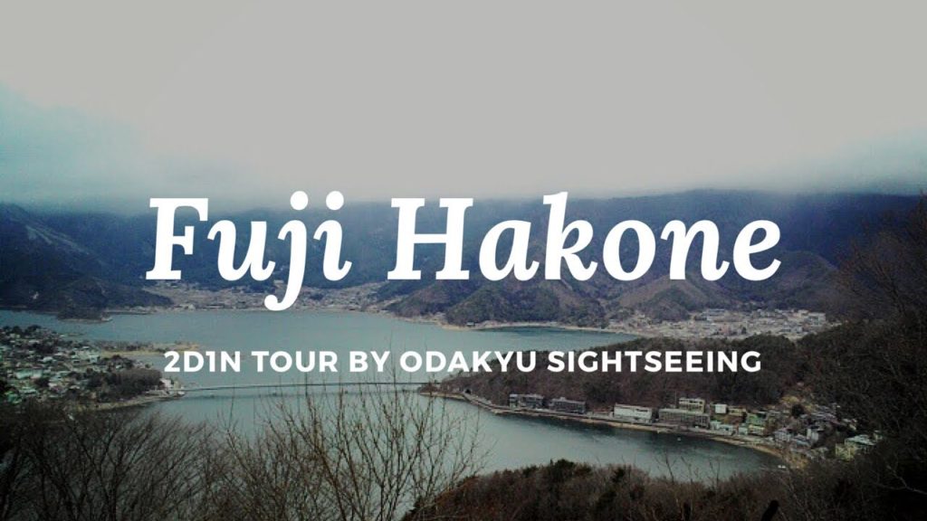 Fuji Hakone Tour by Odakyu Sightseeing