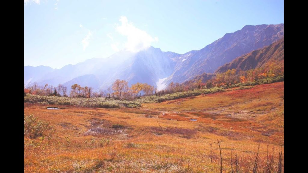 JG 長野 栂池自然園 Nagano,Tsugaike Natural Gardsen