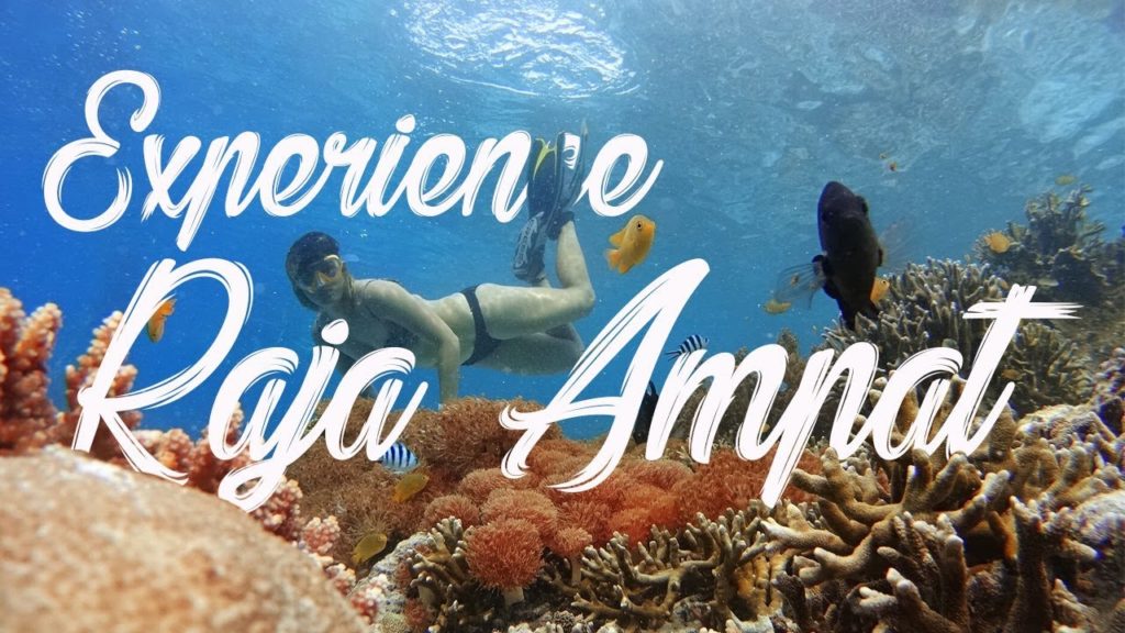 Experience Amazing Raja Ampat – Wet Traveler Experience Amazing Raja Ampat - Wet Traveler