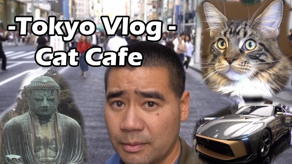 Tokyo Vlog - Visiting a Cat Cafe, Yokohama and Kamakura City