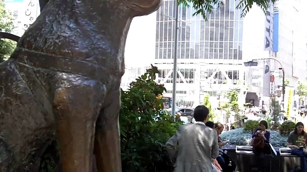Hachiko! Akita Dog Statue at Shibuya